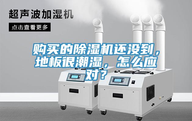 購買的草莓视频污污污污還沒到，地板很潮濕，怎麽應對？