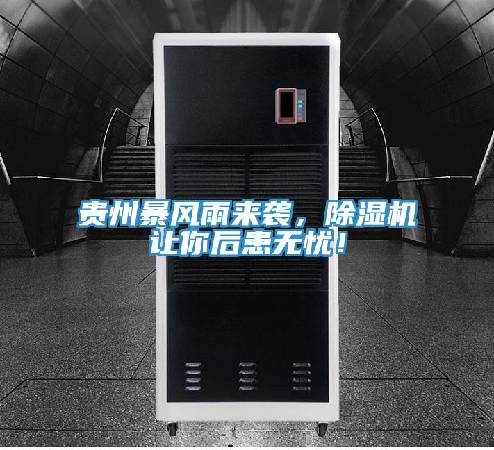 貴州暴風雨來襲，草莓视频污污污污讓你後患無憂！