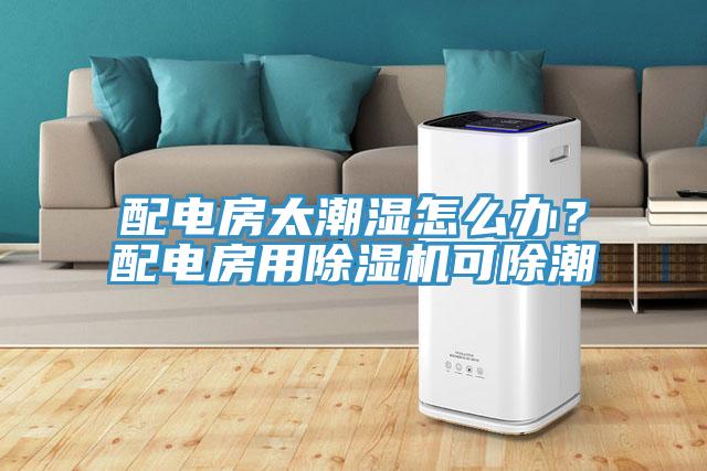 配電房太潮濕怎麽辦？配電房用草莓视频污污污污可除潮