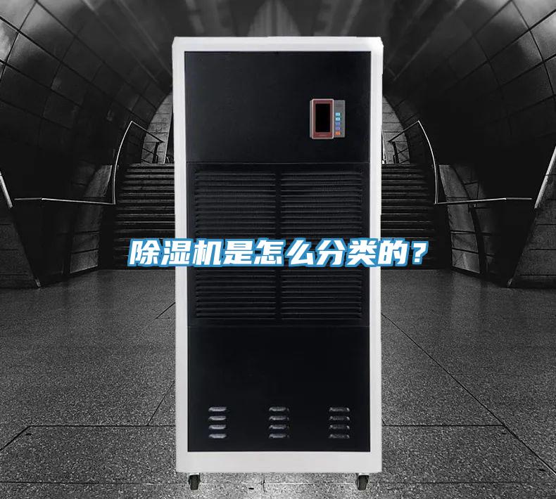 草莓视频污污污污是怎麽分類的？
