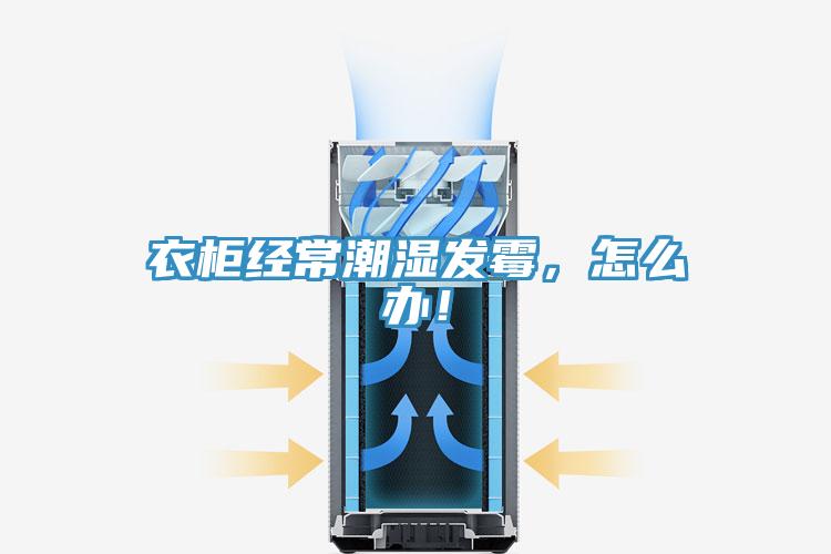 衣櫃經常潮濕發黴，怎麽辦！