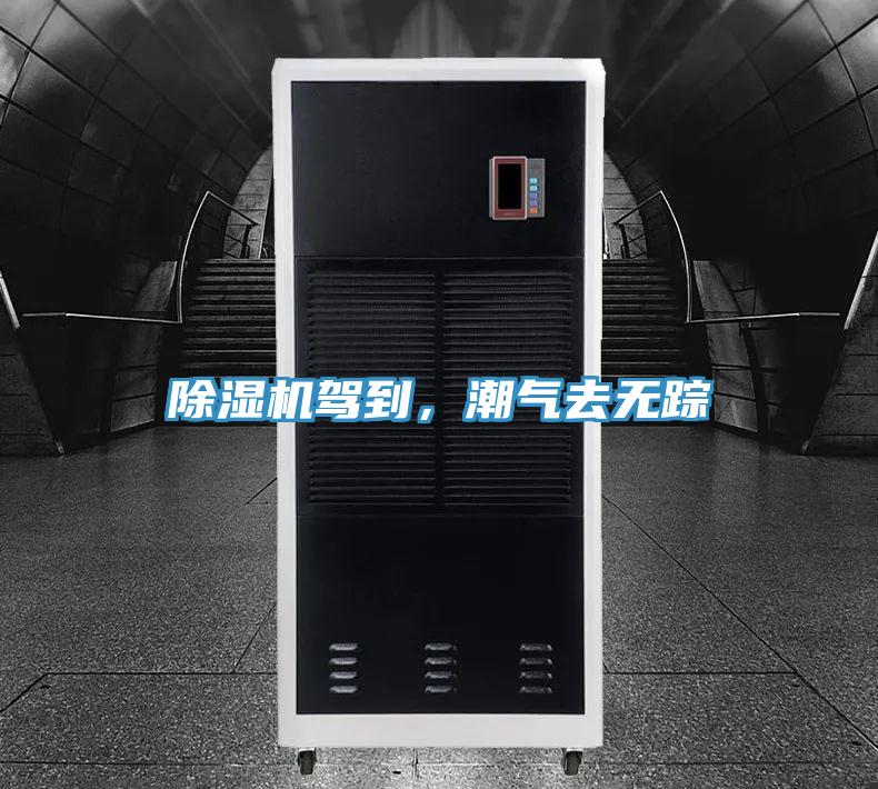 草莓视频污污污污駕到，潮氣去無蹤