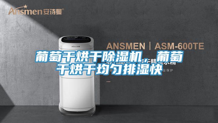 葡萄幹烘幹草莓视频污污污污，葡萄幹烘幹均勻排濕快