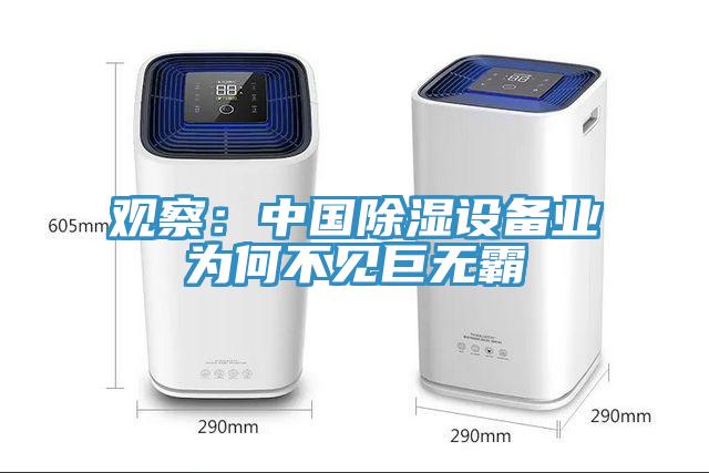 觀察：中國除濕設備業為何不見巨無霸