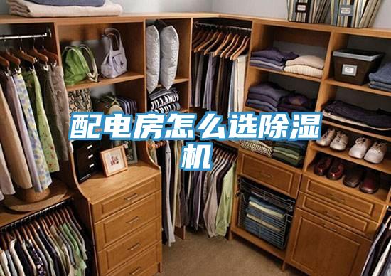 配電房怎麽選草莓视频污污污污