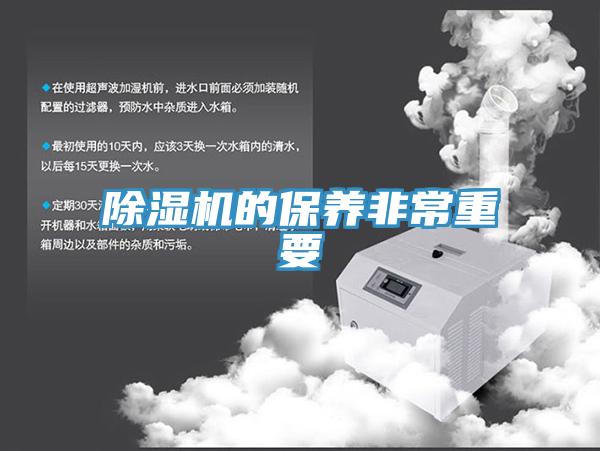 草莓视频污污污污的保養非常重要