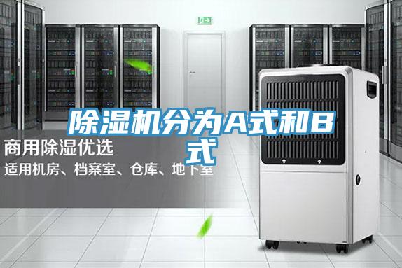 草莓视频污污污污分為A式和B式