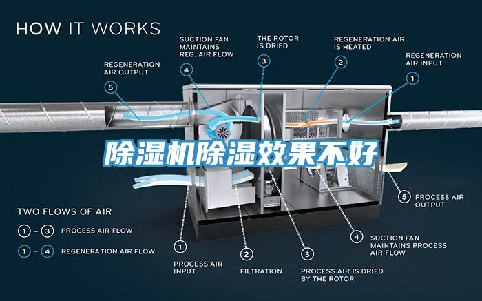 草莓视频污污污污除濕效果不好