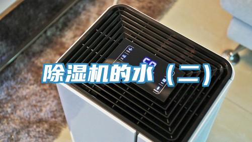 草莓视频污污污污的水（二）