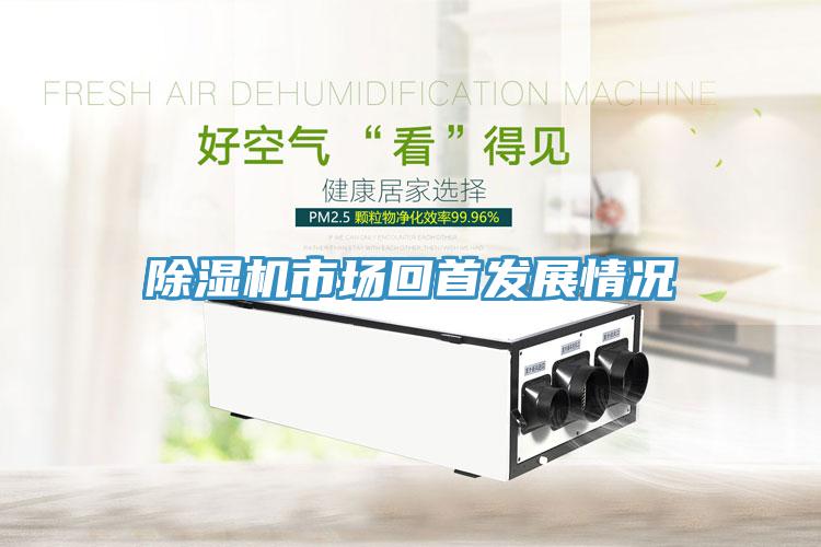 草莓视频污污污污市場回首發展情況