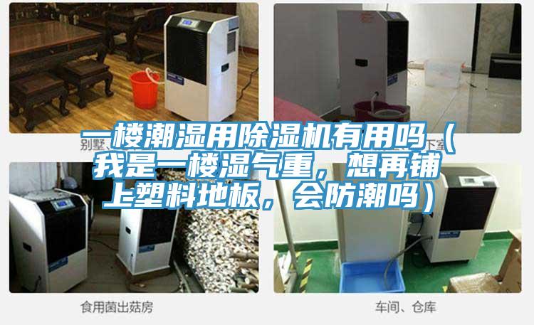 一樓潮濕用草莓视频污污污污有用嗎（我是一樓濕氣重，想再鋪上塑料地板，會防潮嗎）