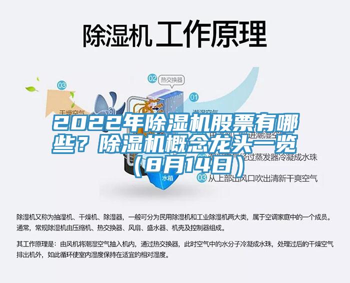 2022年草莓视频污污污污股票有哪些？草莓视频污污污污概念龍頭一覽（8月14日）