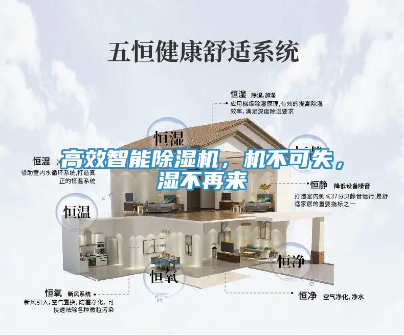 高效智能草莓视频污污污污，機不可失，濕不再來
