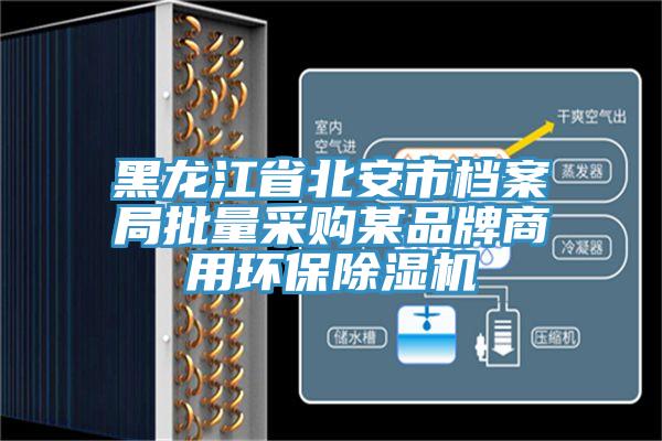 黑龍江省北安市檔案局批量采購某品牌商用環保草莓视频污污污污