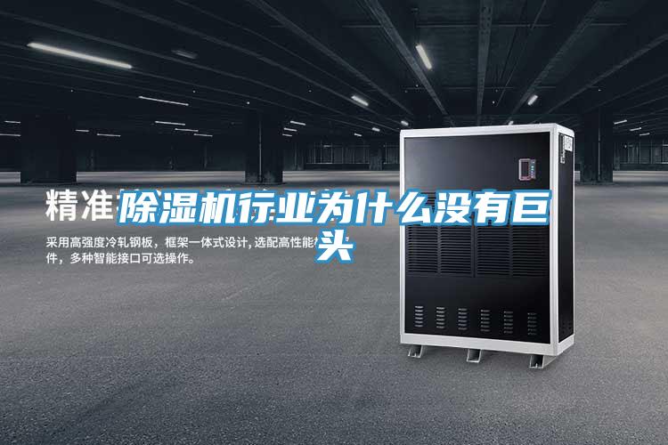 草莓视频污污污污行業為什麽沒有巨頭