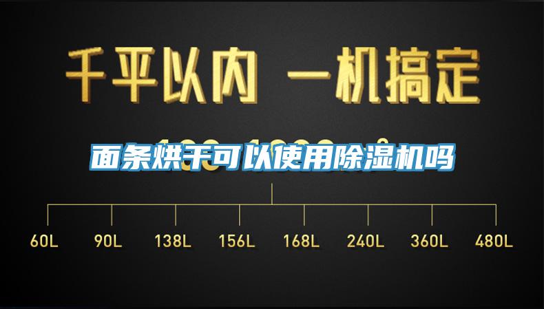 麵條烘幹可以使用草莓视频污污污污嗎