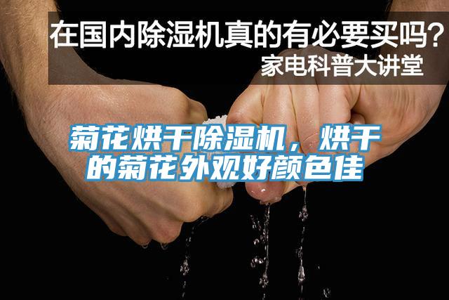 菊花烘幹草莓视频污污污污，烘幹的菊花外觀好顏色佳