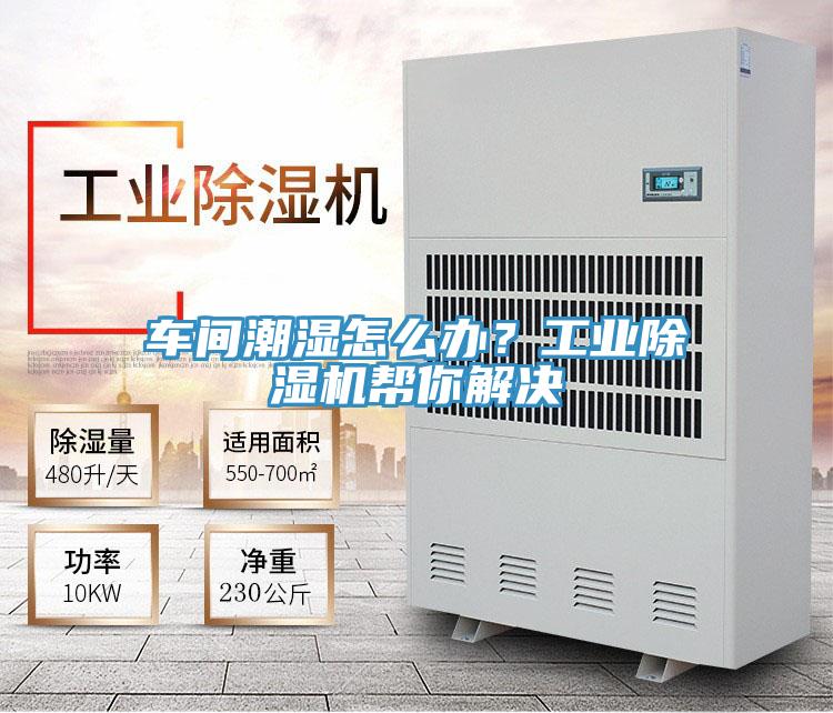 車間潮濕怎麽辦？工業草莓视频污污污污幫你解決