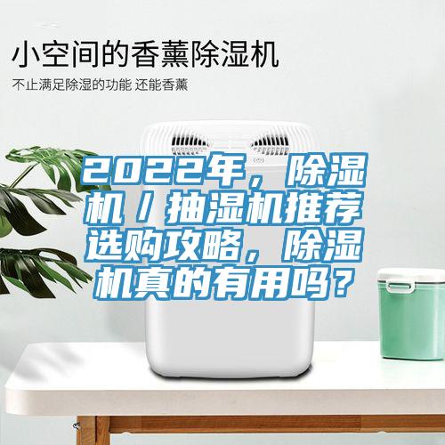 2022年，草莓视频污污污污／抽濕機推薦選購攻略，草莓视频污污污污真的有用嗎？
