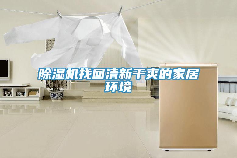 草莓视频污污污污找回清新幹爽的家居環境