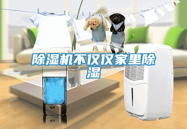 草莓视频污污污污不僅僅家裏除濕