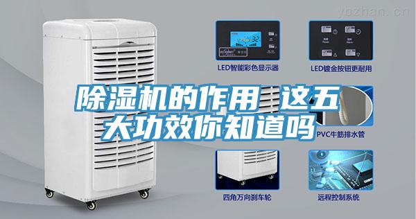 草莓视频污污污污的作用 這五大功效你知道嗎