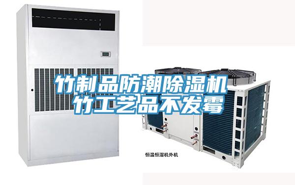 竹製品防潮草莓视频污污污污 竹工藝品不發黴