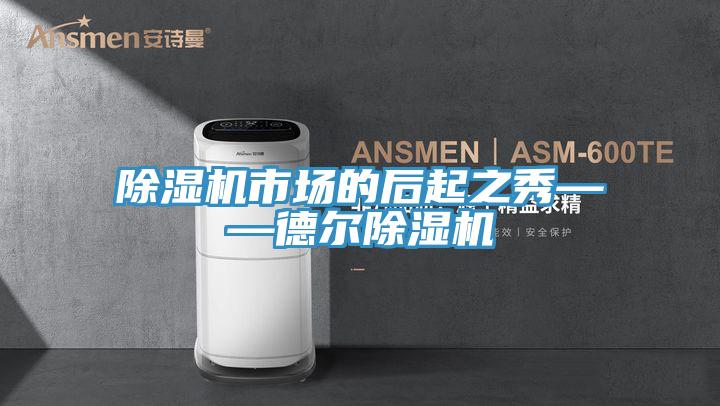 草莓视频污污污污市場的後起之秀——德爾草莓视频污污污污