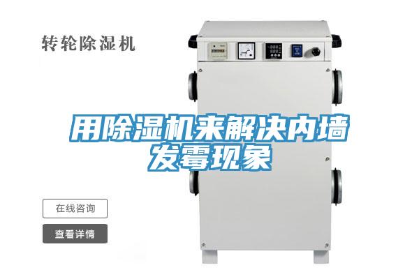 用草莓视频污污污污來解決內牆發黴現象