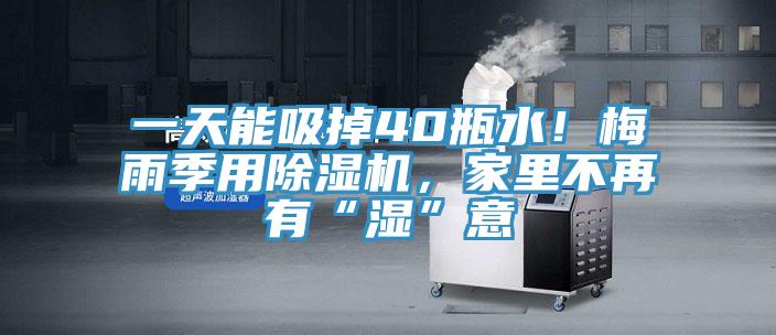 一天能吸掉40瓶水！梅雨季用草莓视频污污污污，家裏不再有“濕”意