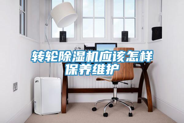 轉輪草莓视频污污污污應該怎樣保養維護