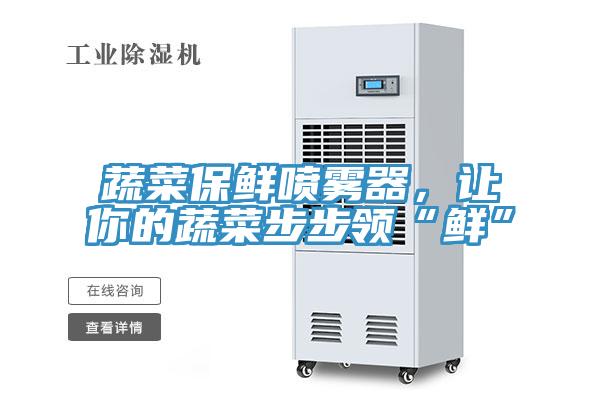 蔬菜保鮮噴霧器，讓你的蔬菜步步領“鮮”