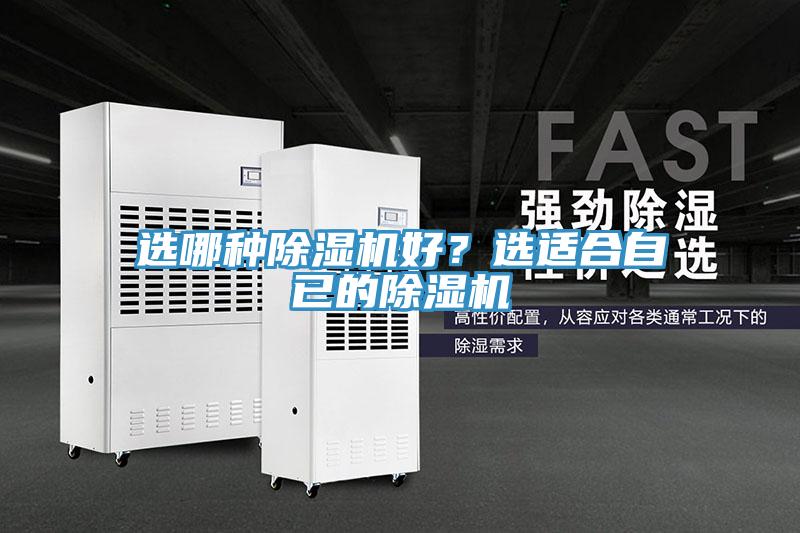 選哪種草莓视频污污污污好？選適合自已的草莓视频污污污污