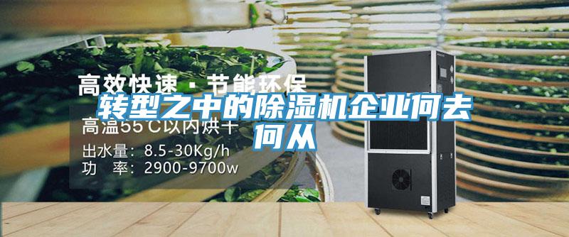 轉型之中的草莓视频污污污污企業何去何從