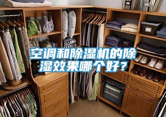 空調和草莓视频污污污污的除濕效果哪個好？