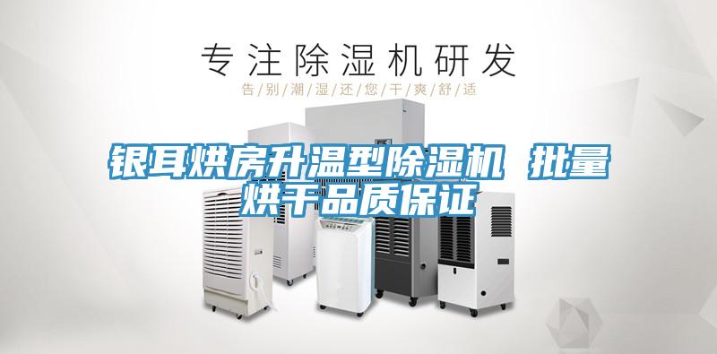 銀耳烘房升溫型草莓视频污污污污 批量烘幹品質保證