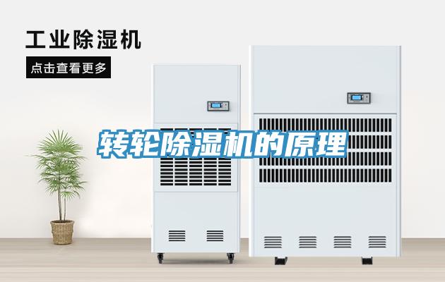 轉輪草莓视频污污污污的原理