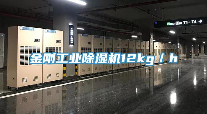 金剛工業草莓视频污污污污12kg／h