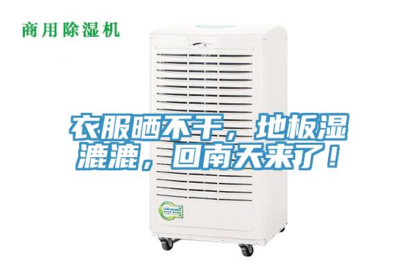 衣服曬不幹，地板濕漉漉，回南天來了！