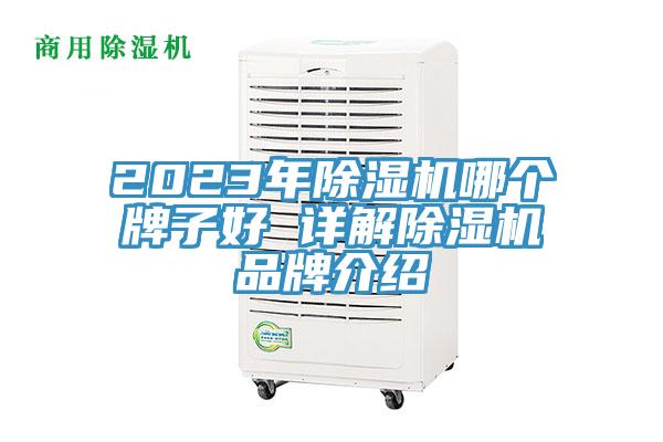 2023年草莓视频污污污污哪個牌子好 詳解草莓视频污污污污品牌介紹