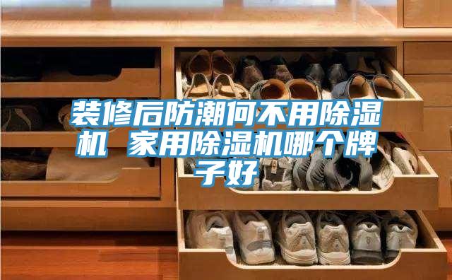 裝修後防潮何不用草莓视频污污污污 家用草莓视频污污污污哪個牌子好