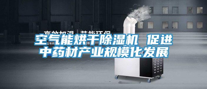 空氣能烘幹草莓视频污污污污 促進中藥材產業規模化發展