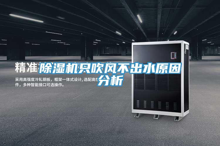 草莓视频污污污污隻吹風不出水原因分析