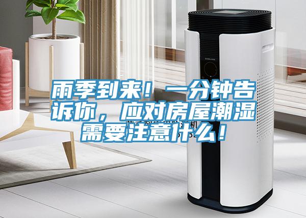 雨季到來！一分鍾告訴你，應對房屋潮濕需要注意什麽！