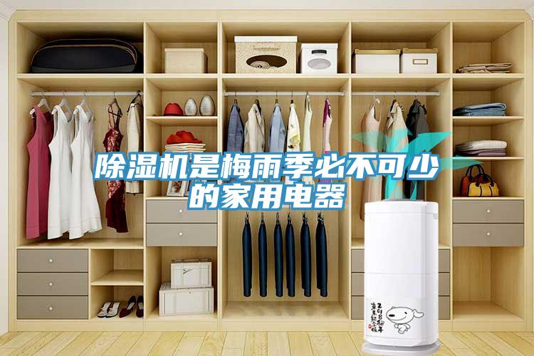 草莓视频污污污污是梅雨季必不可少的家用電器