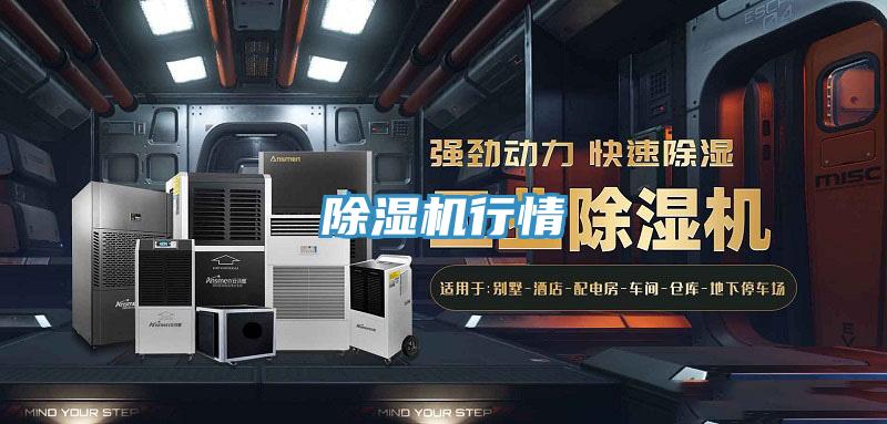 草莓视频污污污污行情