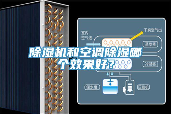 草莓视频污污污污和空調除濕哪個效果好？
