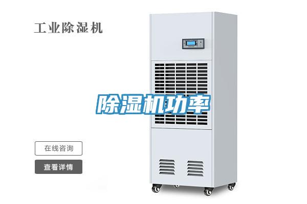 草莓视频污污污污功率