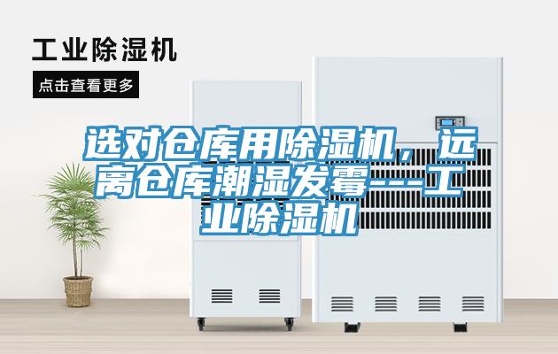 選對倉庫用草莓视频污污污污，遠離倉庫潮濕發黴---工業草莓视频污污污污