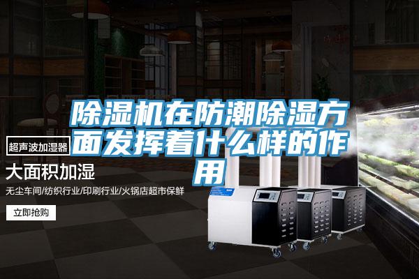 草莓视频污污污污在防潮除濕方麵發揮著什麽樣的作用